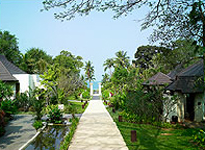 Garden Suite 